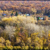 Осенние зарисовки :: Алексей Патлах