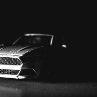 Mini Mustang :: Владимир Письменский
