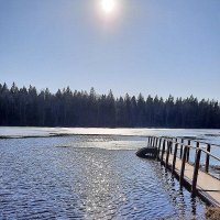 Весна в апреле. :: Валентина Жукова