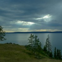 Природа озера Йеллоустон, штат Вайоминг :: Юрий Поляков