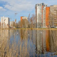 Парк Александрино (Санкт-Петербург) :: Роман Алексеев