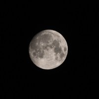 Луна :: Надежда Богомолова