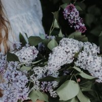 Весна :: Alexandra Brovushkina