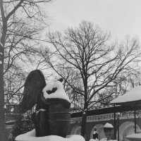 Зима в Некрополе Донского Монастыря. :: Andrew Barkhatov