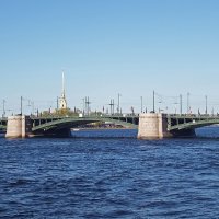 Биржевой мост (Санкт-Петербург) :: Ольга И