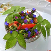Весенний салатик со снытью и медуницей..:-) :: Андрей Заломленков