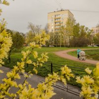 Воронцовский сквер после дождичка :: Роман Алексеев