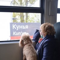 Двое в поезде... май 2020... :: Владимир Павлов