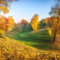 Осенний пейзаж :: Юлия Батурина