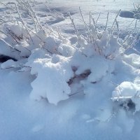 Снега...Сары Арка...Зима...Холод...Мороз...Хорошо. :: Андрей Хлопонин