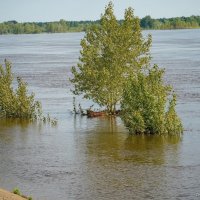 большая вода :: Сергей Старовойт