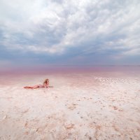 Озеро Сасык-Сиваш или просто розовое озеро. :: Галина Шляховая