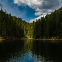 Озеро Синевир :: Сергей Форос