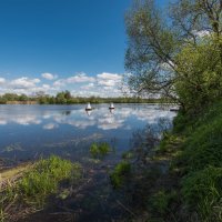 Майский день на реке Дубне. :: Виктор Евстратов