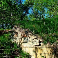 Руины  лестницы парка :: Евгений БРИГ и невич