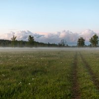 Дорога в поле. :: Aлександр Клиновский