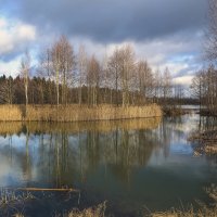 такой январь :: Александр Евдокимчик