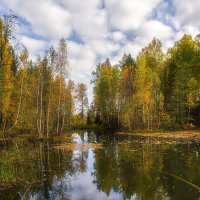 Осеннее озеро :: Vladimbormotov 