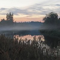 Вечер на реке Гусь :: Сергей Курников