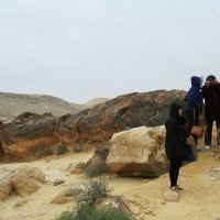 иудейская пустыня.  Рамон - величайший кратер в мире. а раньше эти камни были деревьями :: сашка ярмарков