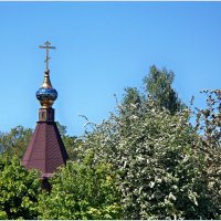 Купол Обыденной церкви. :: Валерия Комова