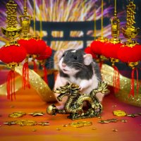 Китайский Новый Год! Год Крысы! :: Татьяна Попова