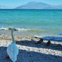 Lago di Garda oзеро Гарда Италия :: wea *