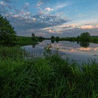 Летнее утро на речке Буянке. :: Виктор Евстратов