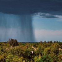 Летняя погода :: Яна Горбунова