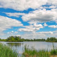 Облака. :: Александр Леонов