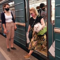 Пушистику  маска не нужна. :: Татьяна Помогалова