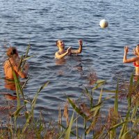 Игры на воде :: Galina Solovova