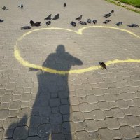 Кто умнее - скворец или 20 голубей? :: Андрей Лукьянов