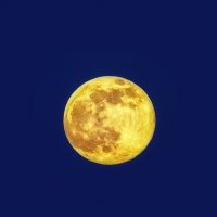 Луна :: Владимир Колесников
