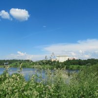Летним днем у реки 2 :: Ирина Майорова