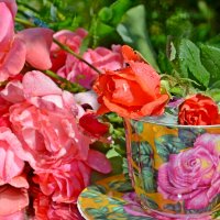 Чайные розы... :: Элина Odinova