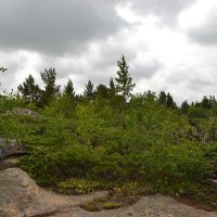 В горно -пешеходном походе в лесах  Керея. :: Георгиевич 