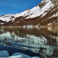 Silsersee, Graubünden und Schwarzeis :: Elena Wymann