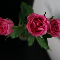 Про розы .... :: Алёна Савина