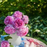 Нежные садовые розы :: Ольга Бекетова