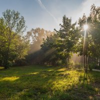 Утренние лучики солнца. :: Виктор Евстратов