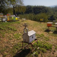 Маленький пчелиный храмик в одном из монастырей Черногории. :: Igor Martynov 