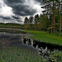 Тучи над  озером... :: Vladimir Semenchukov