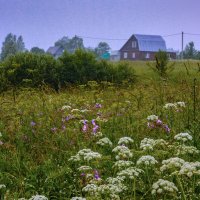 Наши "альпийские" луга :: Ольга Решетникова