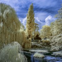 В окрестностях музея-усадьбы :: Николай Гирш