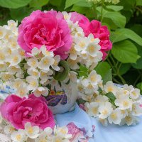 С жасмином и розами :: Ольга Бекетова