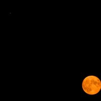 Юпитер - Луна :: Alisa Koteva 