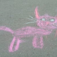 Розовый котик ( рисунок на асфальте) :: Galina Solovova