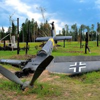 Немецкий пикирующий бомбардировщик «Ju – 87». :: Татьяна Помогалова