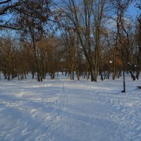 Шахты. Александровский парк зимой. :: Пётр Чернега